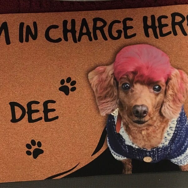 Personalized Dog Photo Doormat - No Need To Knock We Know You're Here photo review