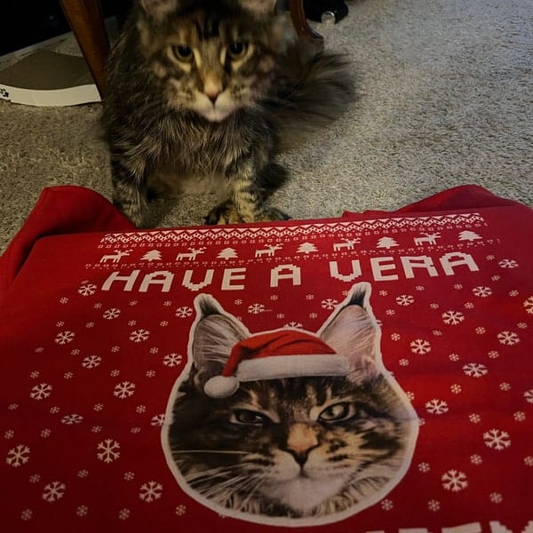 Cat Photo Ugly Christmas Sweater – Funny Holiday Gift Idea for Cat Lovers photo review
