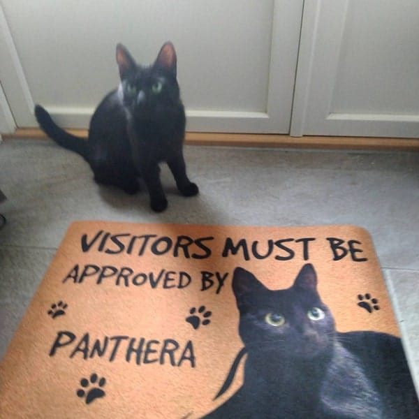 Personalized Cat Doormat - Visitors Must Be Approved photo review