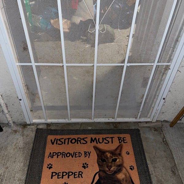 Personalized Cat Doormat - Visitors Must Be Approved photo review