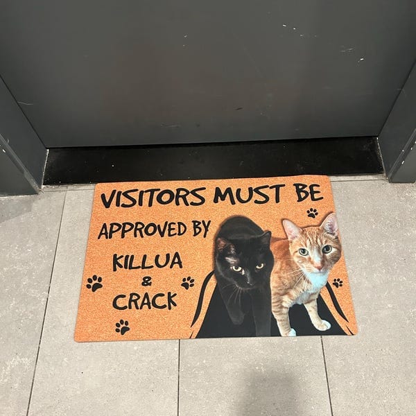 Personalized Cat Doormat - Visitors Must Be Approved photo review