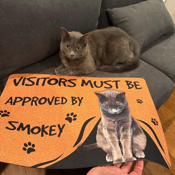 Personalized Cat Doormat - Visitors Must Be Approved photo review