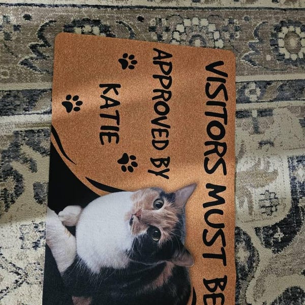 Personalized Cat Doormat - Visitors Must Be Approved photo review