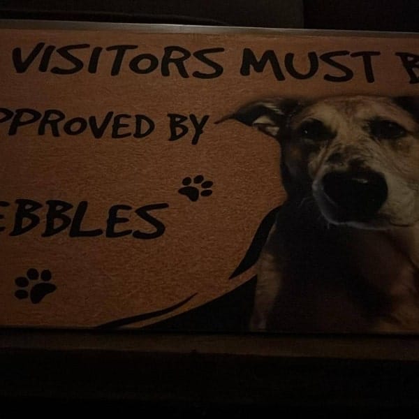 Custom Dog Photo Doormat - Visitors Must Be Approved By Welcome Mat photo review
