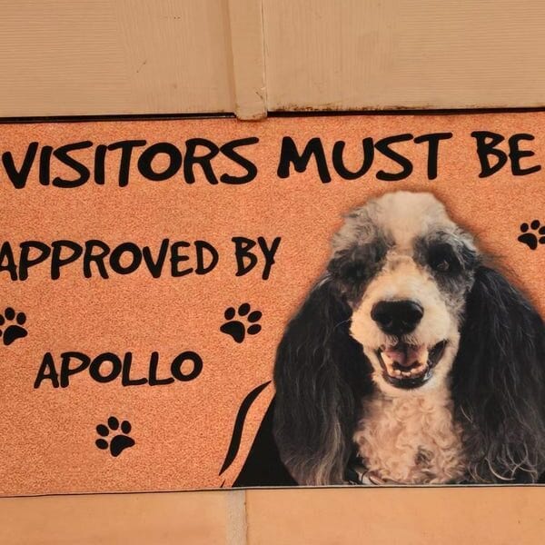 Custom Dog Photo Doormat - Visitors Must Be Approved By Welcome Mat photo review