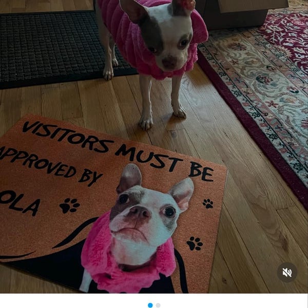 Custom Dog Photo Doormat - Visitors Must Be Approved By Welcome Mat photo review