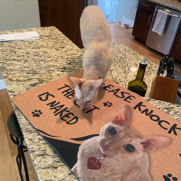 Personalized Sphynx Cat Doormat - Please Knock The Cat is Naked photo review