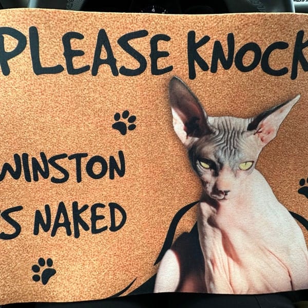 Personalized Sphynx Cat Doormat - Please Knock The Cat is Naked photo review
