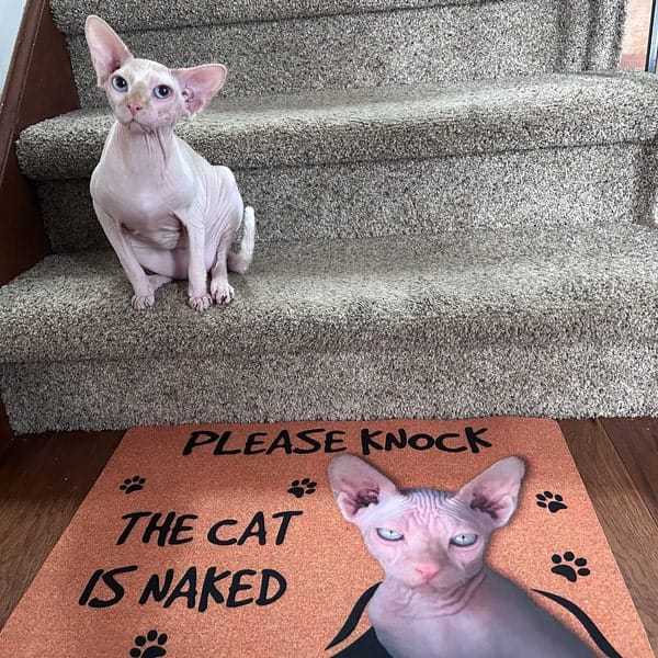 Personalized Sphynx Cat Doormat - Please Knock The Cat is Naked photo review