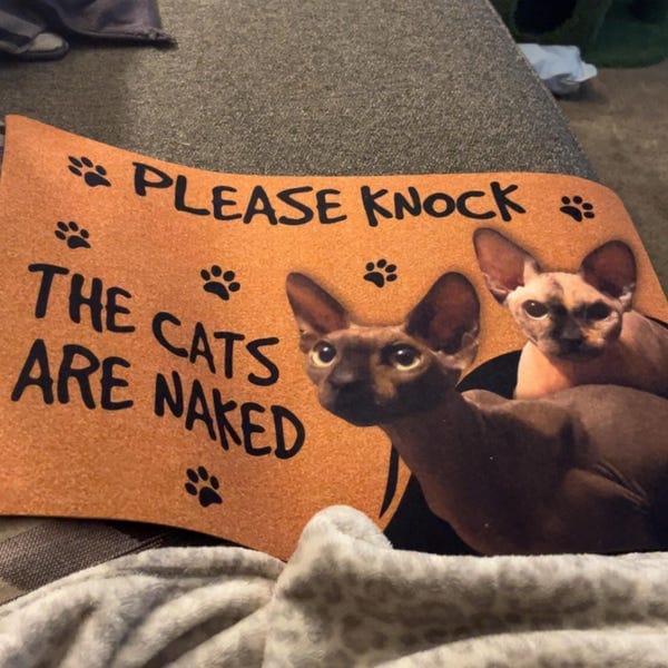 Personalized Sphynx Cat Doormat - Please Knock The Cat is Naked photo review