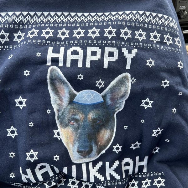 Happy Hanucat - Cat Photo Ugly Hanukkah Sweater photo review