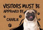 Vvisitors must be approved by dog Funny dog picture doormat Gift 7 visitors-must-be-approved-by-dog-Funny-dog-picture-doormat