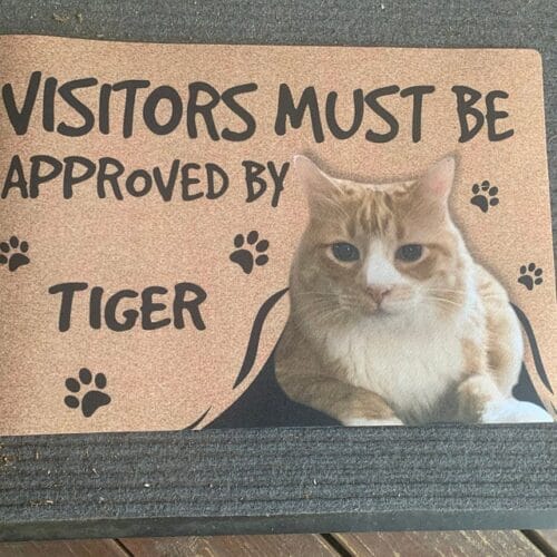 Personalized Dog Photo Doormat - I'm in charge here photo review