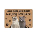 Custom Cat Photo Doormat, We Just Live Here Cats are in charge Door Mat, Personalized Cat Welcome Mat il_794xN.2939399247_1s00