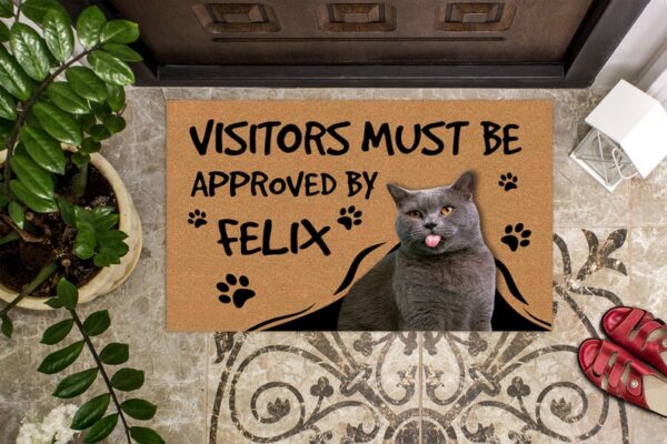 Personalized Cat Photo Doormat Visitors must be approved by