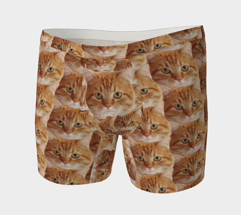 Personalized Cat Photo Men's Underwear