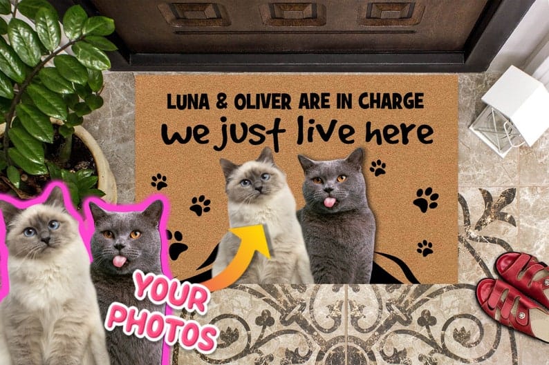 Custom Cat Photo Doormat, We Just Live Here Cats are in charge Door Mat, Personalized Cat Welcome Mat il_794xN.2939391397_s2f1 Custom Funny Cat Welcome Doormat
