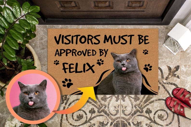 il_794xN.2235334426_8qq1 Personalized Cat Doormat - Visitors Must Be Approved