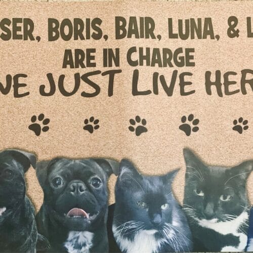 Personalized Dog Photo Doormat - I'm in charge here photo review