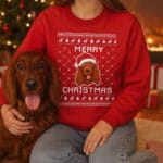 Irish Setter Ugly Christmas Sweater – Holidays Gift for Dog Lovers