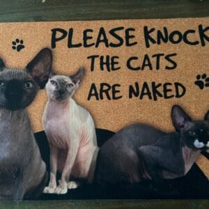 Personalized Sphynx Cat Doormat – Gift for Cat Lovers photo review