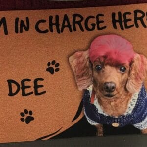 Custom Funny Cat Welcome Doormat – Gift for Cat Lovers photo review