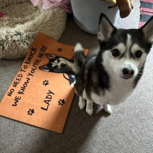 Personalized Dog Photo Doormat - No Need To Knock We Know You're Here photo review