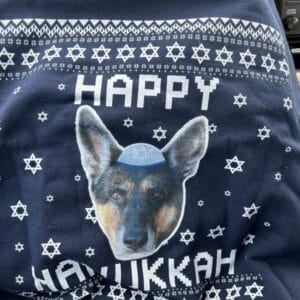 Happy Hanucat Cat Photo Ugly Sweater – Gift for Cat Owners photo review