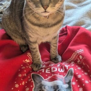 Custom Cat Photo Ugly Christmas Sweater – Gift for Cat Lovers photo review