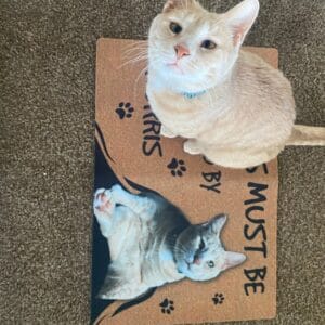 Personalized Cat Doormat – Gift for Cat Owners photo review