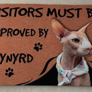 Personalized Cat Doormat – Gift for Cat Owners photo review