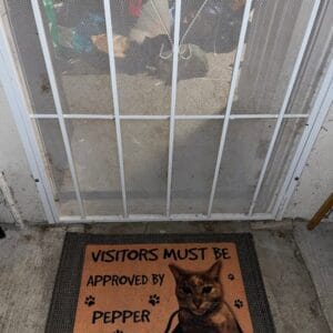 Personalized Cat Doormat – Gift for Cat Owners photo review