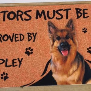 Custom Dog Photo Doormat – Gift for Dog Owners photo review