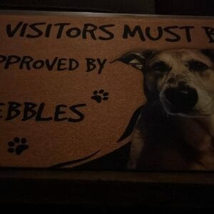 Custom Dog Photo Doormat – Gift for Dog Owners photo review