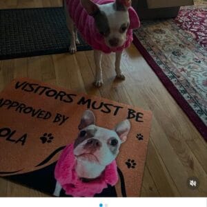 Custom Dog Photo Doormat – Gift for Dog Owners photo review