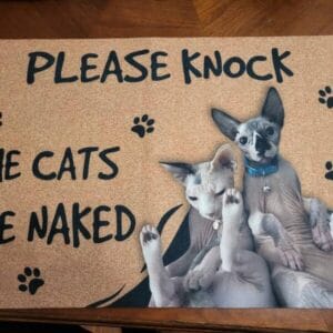 Personalized Sphynx Cat Doormat – Gift for Cat Lovers photo review