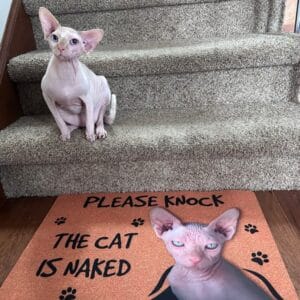 Personalized Sphynx Cat Doormat – Gift for Cat Lovers photo review