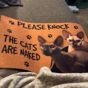 Personalized Sphynx Cat Doormat – Gift for Cat Lovers photo review